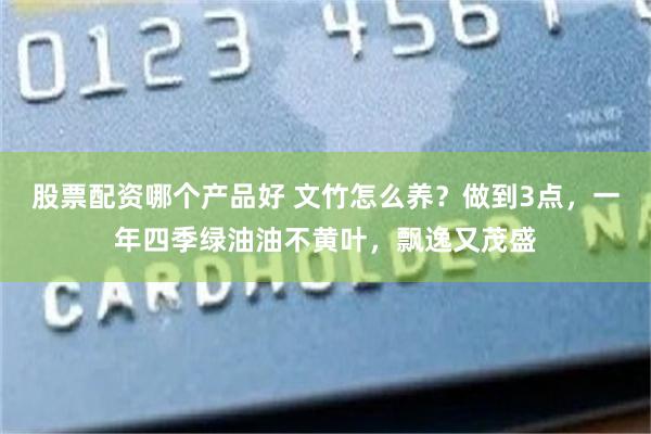 股票配资哪个产品好 文竹怎么养？做到3点，一年四季绿油油不黄叶，飘逸又茂盛