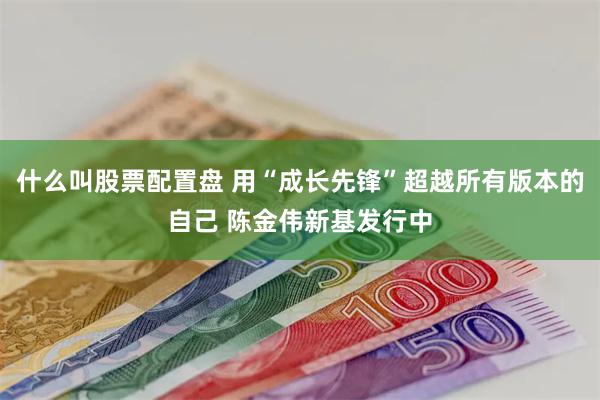 什么叫股票配置盘 用“成长先锋”超越所有版本的自己 陈金伟新基发行中