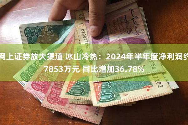 网上证劵放大渠道 冰山冷热：2024年半年度净利润约7853万元 同比增加36.78%