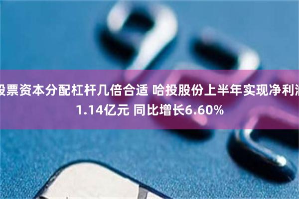 股票资本分配杠杆几倍合适 哈投股份上半年实现净利润1.14亿元 同比增长6.60%