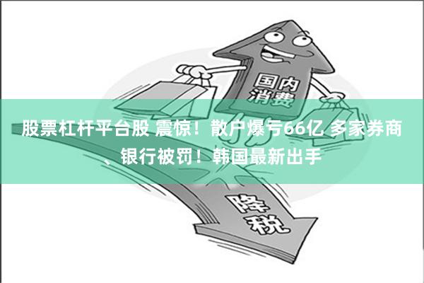 股票杠杆平台股 震惊！散户爆亏66亿 多家券商、银行被罚！韩国最新出手