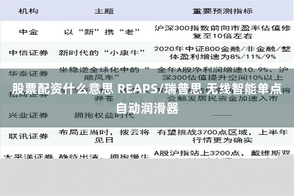 股票配资什么意思 REAPS/瑞普思 无线智能单点自动润滑器