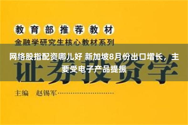 网络股指配资哪儿好 新加坡8月份出口增长，主要受电子产品提振