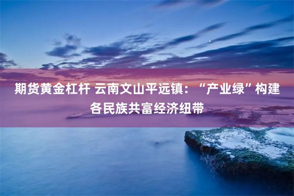 期货黄金杠杆 云南文山平远镇：“产业绿”构建各民族共富经济纽带