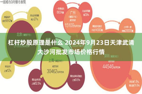 杠杆炒股原理是什么 2024年9月23日天津武清大沙河批发市场价格行情