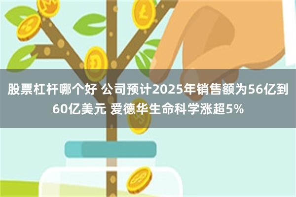 股票杠杆哪个好 公司预计2025年销售额为56亿到60亿美元 爱德华生命科学涨超5%