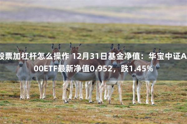 股票加杠杆怎么操作 12月31日基金净值：华宝中证A100ETF最新净值0.952，跌1.45%