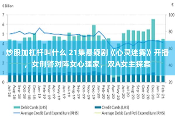 炒股加杠杆叫什么 21集悬疑剧《心灵迷雾》开播，女刑警对阵女心理家，双A女主探案